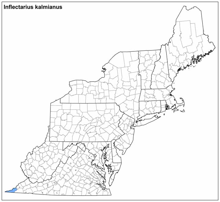 Inflectarius kalmianus Range Map